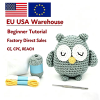 Kit de crochet amigurumi hibou mignon fait main DIY, jouet en tricot, kit d'artisanat de décoration intérieure pour débutants avec fil et outils