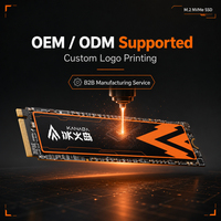 Logo Kustom KANAGA M.2 NVMe SSD 1TB 2TB PCIe 4.0 Layanan OEMODM Tersedia untuk Distributor