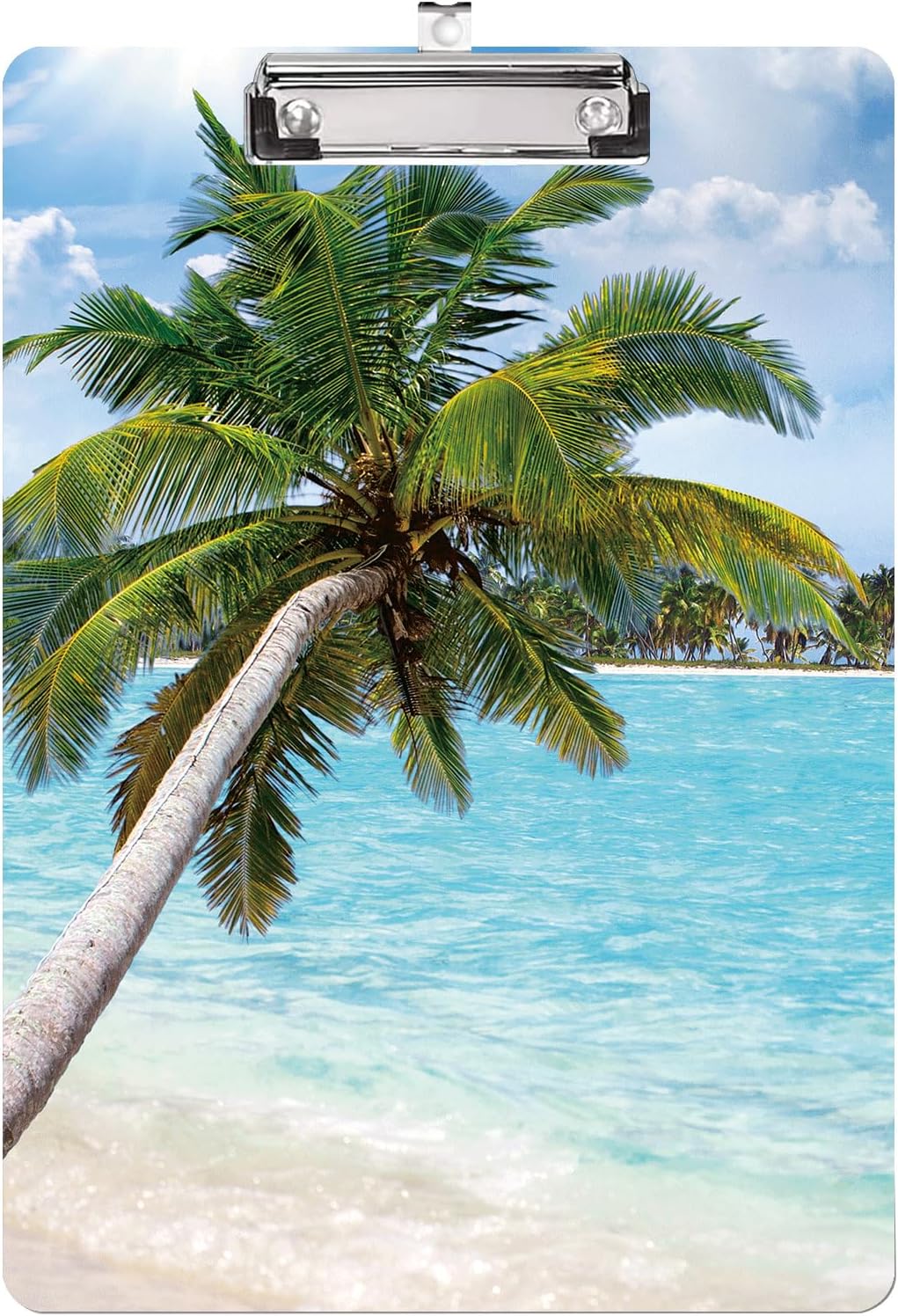 Beach palm tree