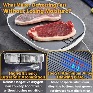2 in1解凍トレイ高速解凍プレートボード噴霧立体解凍クイック解凍機 - Product Image 2