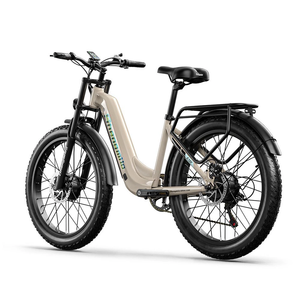 Hezzo S700 Scooter Eléctrico de Dos Ruedas para Adultos con Motores Duales de 2000W, Resistente al Agua, Suspensión Delantera, Control por Aplicación, 25km/h, Aluminio, 120kg, HS-04PR - Product Image 6