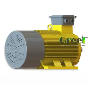 10kW 250rpm 380v magnetische generator für hydro turbine