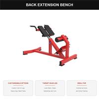 Banc d'extension dorsale réglable, Chaise romaine, Équipement de fitness commercial, Machine à charge de plaques pour l'entraînement de musculation
