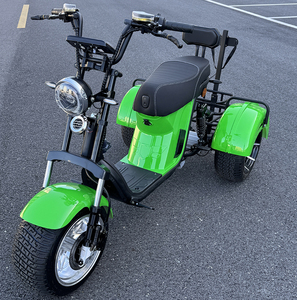 Motocicleta Eléctrica de Tres Ruedas de Alta Calidad, 2000W, Potente, Impermeable, Todoterreno, para Adultos, de Largo Alcance - Product Image 1