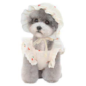 Vestitino Personalizzato per Cani di Piccola Taglia, Gonna in Pizzo Sexy e Carina, Abbigliamento per Cuccioli - Product Image 6