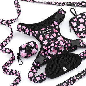 Özel Logolu Ayarlanabilir Neopren Köpek Tasması Seti Kişiselleştirilmiş Yumuşak Fileli Yavru Köpek Tasması, Kayışı, Bandana, Papyon, Yürüyüş Seti - Product Image 2