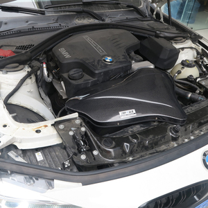 EDDY Yeni Yüksek Performanslı Karbon Fiber Kutu Hava Giriş Sistemi Soğuk Hava Giriş Kiti BMW 320i 328i 2.0T (N20) için - Product Image 2