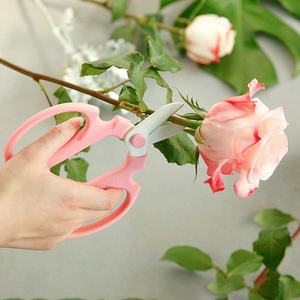 Bonsai Strumento di Sicurezza della Carta di Taglio Giardino <span class=keywords><strong>Giapponese</strong></span> Taglio <span class=keywords><strong>Fiore</strong></span> Scissor Per I Fiori - Product Image 2