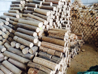 Dernière conception de machine de fabrication de bûches de sciure solide pour feu de bois machine d'extrudeuse de briquettes de bâtonnets de sciure de bois machine à briquettes de biomasse