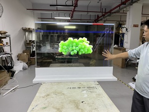 Factory OEM Indoor Transparenter <span class=keywords><strong>OLED</strong></span>-Fernseher 55-Zoll-Touchscreen-<span class=keywords><strong>OLED</strong></span>-Bildschirm Transparente Digital Signage für Werbung - Product Image 3