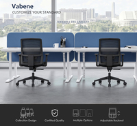 Chaise de bureau ergonomique pivotante en maille BSCI Factory EN1335 Bifma avec support lombaire réglable pour bureau à domicile et espace de coworking