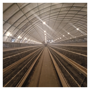 <span class=keywords><strong>Poulailler</strong></span> à 3/4 niveaux de type A pour 96/120/128/160 poules pondeuses, cage à poules avec équipement d'alimentation automatisé pour poules pondeuses - Product Image 5