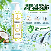 Shampooing réparateur pour cheveux à la protection des couleurs, marque privée, avec huile d'argan, huile de macadamia et huile de coco, antipelliculaire, OEM