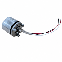 Moteur brushless à rotor externe BL2820W, couple de 25 Nm, IP54, fixation par bride, faible bruit, longue durée de vie, 4300 tr/min, 7,8 W, pour pistolet de massage fascia