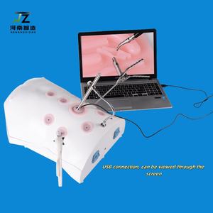 Dispositivo de entrenamiento laparoscópico de simulación humana relación 1:1 modelo humano HD endoscopia productos de gama alta - Product Image 2