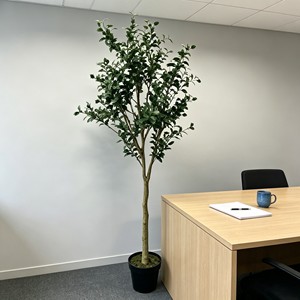 Large Indoor Floor-Standing Artificial Olive <b>Tree</b> New Model Detachable Ornament Graduation <b>Plastic</b> Weddings - Product Image 5