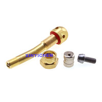 Système de surveillance de la pression des pneus TPMS interne, valve de pneu sans chambre à air TPMS, capteur spécial, valve TPMS