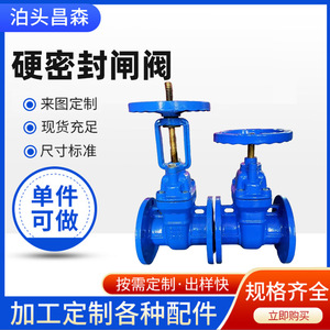 Vanne à opercule en fonte à bride DN40 à DN600, joint souple, pour eau à température normale, pression moyenne, type interrupteur - Product Image 2