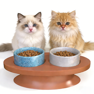 Tigelas Duplas de Cerâmica 2 em 1 Personalizadas OEM para Animais de Estimação, Comedouro Elevado para Gatos e Cães de Pequeno e Médio Porte para Uso Interno - Product Image 1