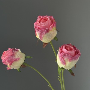 Fleur artificielle en soie en forme de rose flocon de neige, bordée, pour décoration de mariage et de maison, arrangement floral fait main - Product Image 4
