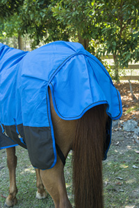 พรมม้า200G ฤดูหนาวคอมโบรอยัลบลูมาเฮอร์ซี - Product Image 2