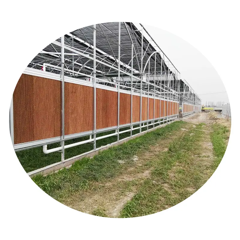 Poultry Farm Greenhouse Honeycomb Waterfed Circulating Water Poultry Control Shed Cooling Pad