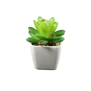 Mini suculentas artificiais para decoração de casa, plantas em vasos com plantador de plástico