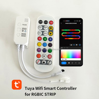 Controlador Tuya Wifi RGBIC, 5V, 12V, 24V, SPI, música inteligente, Control de voz, atenuador para agua corriente, tira de luz Led de píxeles direccionables