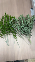 Daun Eucalyptus Buatan Real Touch, Tangkai Tunggal, Tanaman Hijau Palsu Silver Dollar, Dekorasi Rangkaian Bunga Pernikahan Grosir