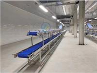 Automatische vleesverwerkingsmachine voor slachthuizen, met transportband voor voedselveilige vleesverwerking