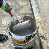 JS POLYMÈRE CIMENT WATERPROOF COATING Type I Ratio 10 à 7 pour les matériaux de construction de salle de bains et de cuisine