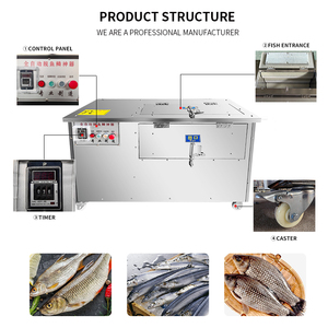 Vendita Diretta dalla Fabbrica di Macchina Automatica per Rimozione Squame di Pesce, Rimuovi Squame per Tilapia, Macchina di Alta Qualità per Raschiatura e Rimozione Squame - Product Image 2