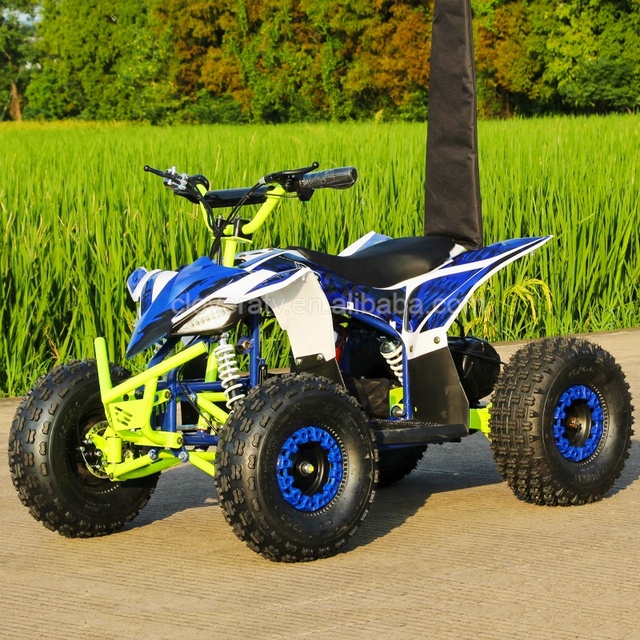 China's Factory Cheap 36V 500W/800W/1000W Electric ATV for Kids and Chain Drive Transmission