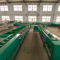 Hete Verkopende Automatische Kokosnoot Passievrucht Mango Dragon Fruit Meloen Fruit Gewicht Sorteermachine Auto Gewicht Sorteermachine