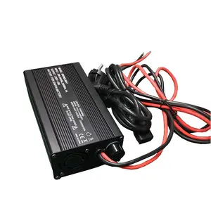 Chargeur de batterie LifePo4 1S 3.65V 20a, pour batterie au lithium 3V/3.2V, entrée AC, accu nickel-hydrure métallique