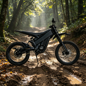 Motocicleta de motocross Talaria Pro, modelo Us Stock X3, motor de 60v 40ah, velocidad de 75kph, para aventuras todoterreno, Talaria Pro. - Product Image 1