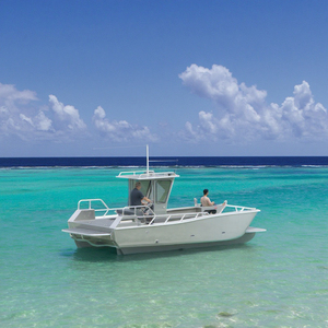 Bateaux de débarquement en aluminium nouvelle génération, très demandés, avec moteur 150 CV, capacité de charge de 488 kg, certifiés pour la pêche et le travail. - Product Image 6