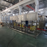 Système de purification d'eau RO de prétraitement de fabrication de boissons, Machine de traitement d'eau potable/usine avec prix