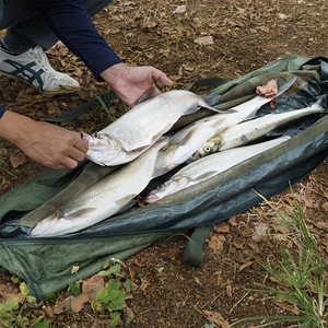 ตาข่ายดักปลาคาร์พขนาดใหญ่ ตาข่ายลอยน้ำสำหรับตกปลาคาร์พ ผ้าอ็อกซ์ฟอร์ดกันน้ำ ถุงใส่ของสำหรับตกปลาคาร์พ ถุงตกปลาสำหรับใช้ในป่า - Product Image 5