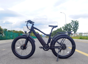 Bicicleta Eléctrica de Doble Motor 48V 250W, Bicicleta de <span class=keywords><strong>Montaña</strong></span> con Llantas Gruesas de 26 Pulgadas, Bicicleta Eléctrica para Adultos - Product Image 2