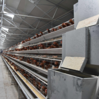 Cages à poulets pondeuses personnalisées de type A, prix usine, pour ferme au Pakistan