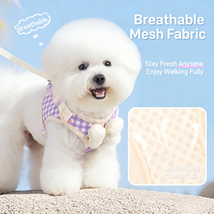 Guinzaglio per cani con fiocco e motivo a quadri, pettorina per cani in stile coreano, guinzaglio da passeggio per esterni per Bichon Frise e Cani Poodle. - Product Image 2