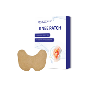 OEM ODM Penjualan Laris Ramah Lingkungan Hipoalergenik Bantuan Tidur Plester Pereda Nyeri Lutut Capsicum Ukuran Sesuai Pesanan - Product Image 1