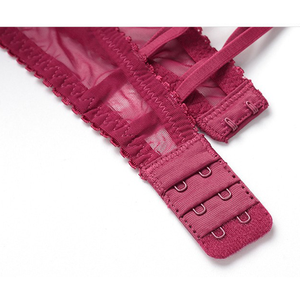 Women's <b>Sexy</b> Breathable Lace Push-Up <b>Bra</b> and Hipster Panty <b>Set</b> - Product Image 5