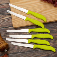Ensemble de 6 couteaux à steak dentelés pour le camping et le barbecue, lame en acier inoxydable, manche en PP, kit portable en boîte colorée