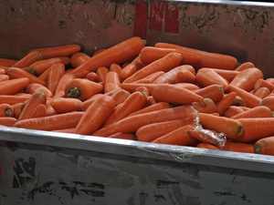 Carote Fresche Biologiche all'Ingrosso da Fornitore Cinese, Prezzo Competitivo per Agricoltura e Semi di Carota - Product Image 5