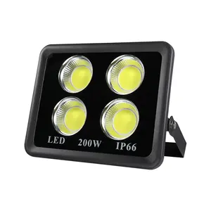 Expédition rapide 10w 20w 30w 50W 100W LED projecteur de sécurité projecteur extérieur blanc froid 6000K