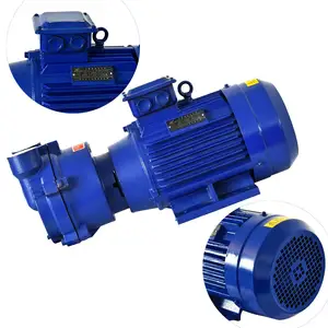 5.4HP/4KW Electric single stage double suction water loop vacuum pump High Pressure water ring type vacuum pump 2BV-5110