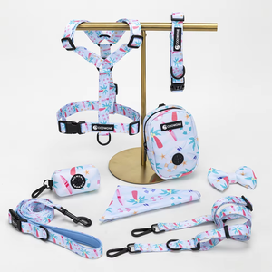 Coowone Fabrik's Bestseller Maßgefertigtes Neopren-Hundegeschirr und Leinenset Personalisiertes Welpenzubehör - Product Image 1