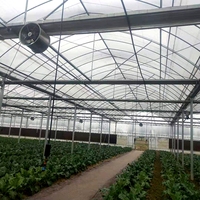 Serre agricole industrielle multi-travées à grande envergure, structure en acier galvanisé, couverture en film PE, système hydroponique personnalisable